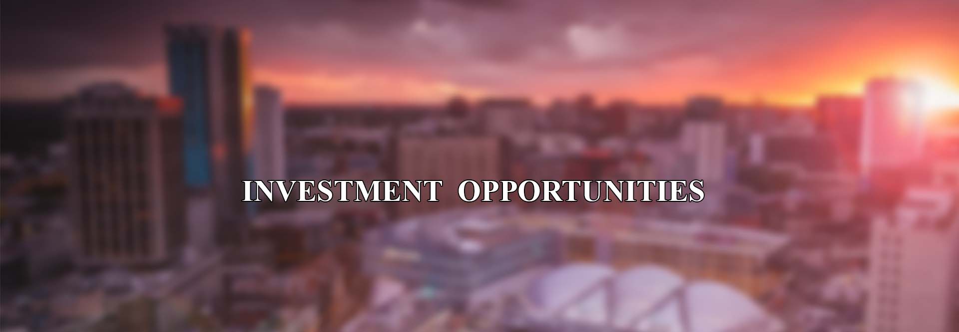 investment opportunities